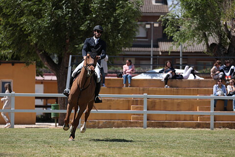 Memorial Nieves Llorente